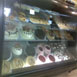 Dhaliwal Bakery